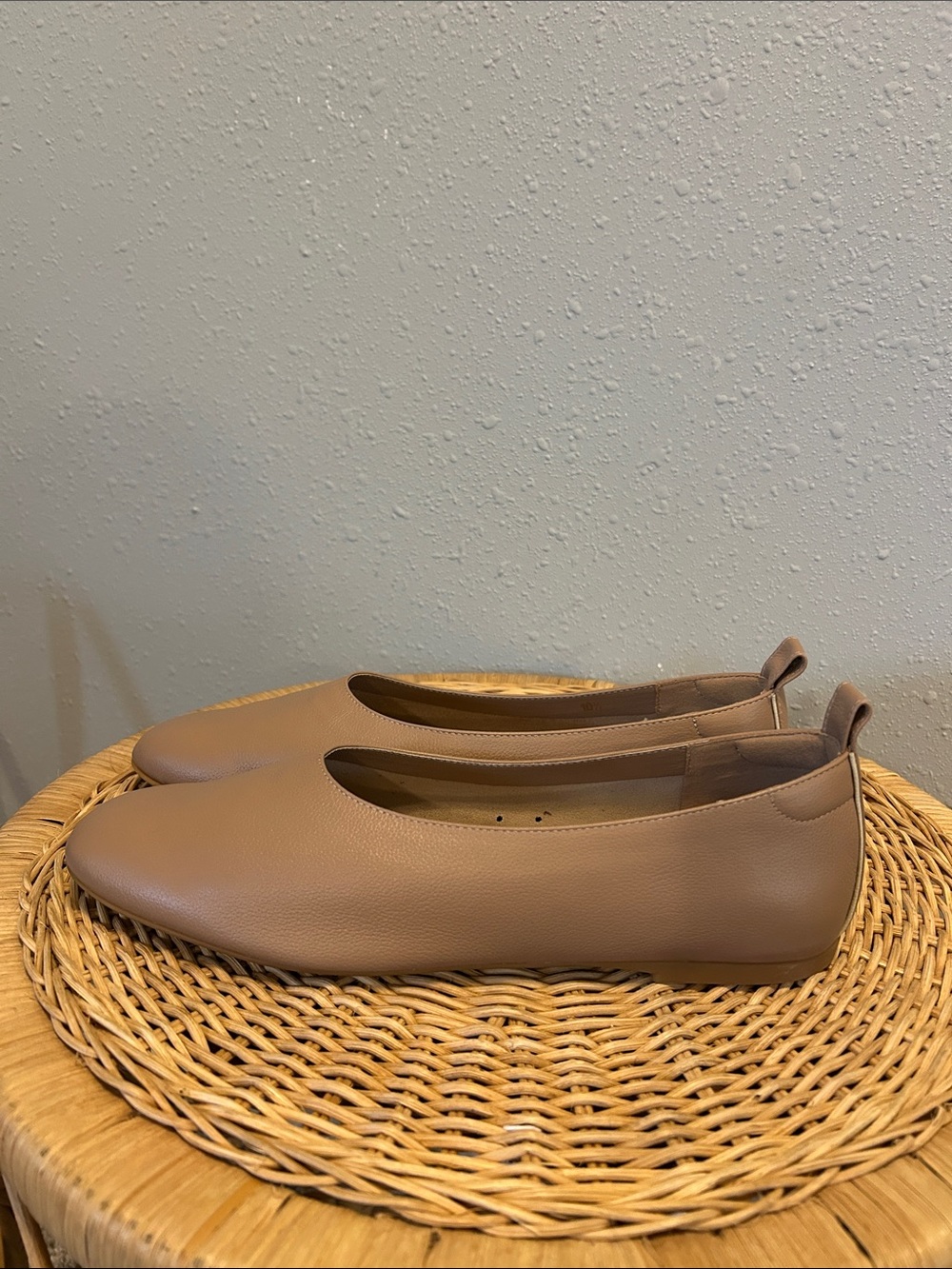 Everlane The Day Glove Taupe Leather Ballet Flats 10.5